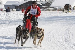 Lenk 2012 SM